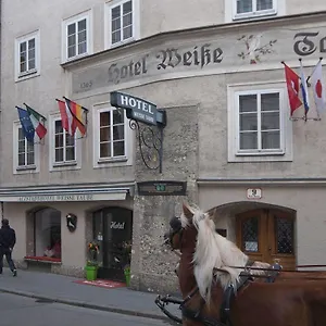 Altstadthotel Weisse Taube Solnohrad
